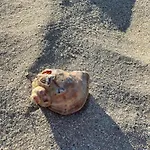 豪华帐篷 Meme Glamping 科尔布