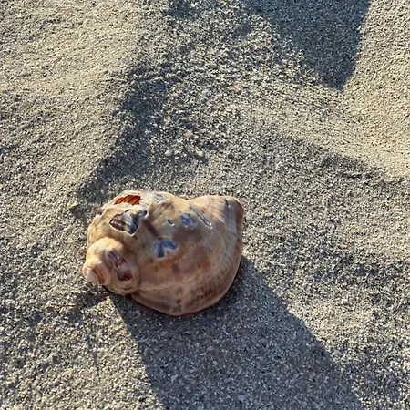 Luxury tent Meme Glamping Corbu (Constanta)