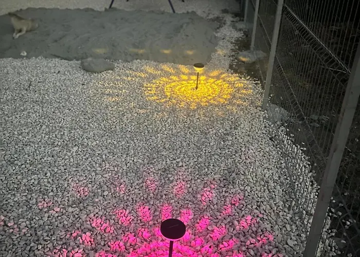 Meme Glamping Lüks kamp alanı Corbu (Constanta)