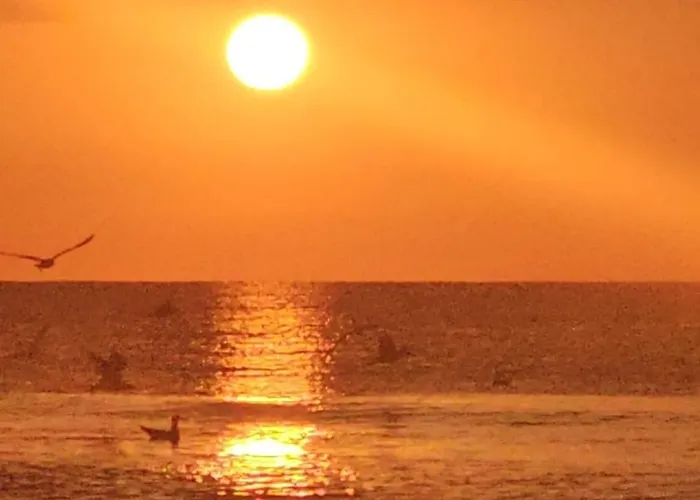 Lüks kamp alanı Meme Glamping